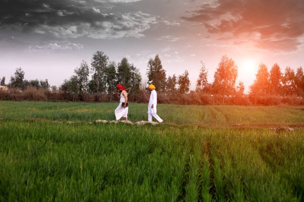 Haryana trip